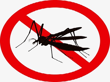 里水除四害公司灭蚊子防蚊子的办法有哪些