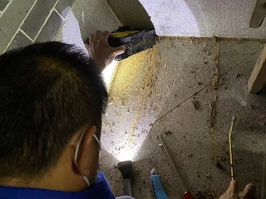 大沥上门灭白蚁公司为什么居住的房屋里会有白蚁